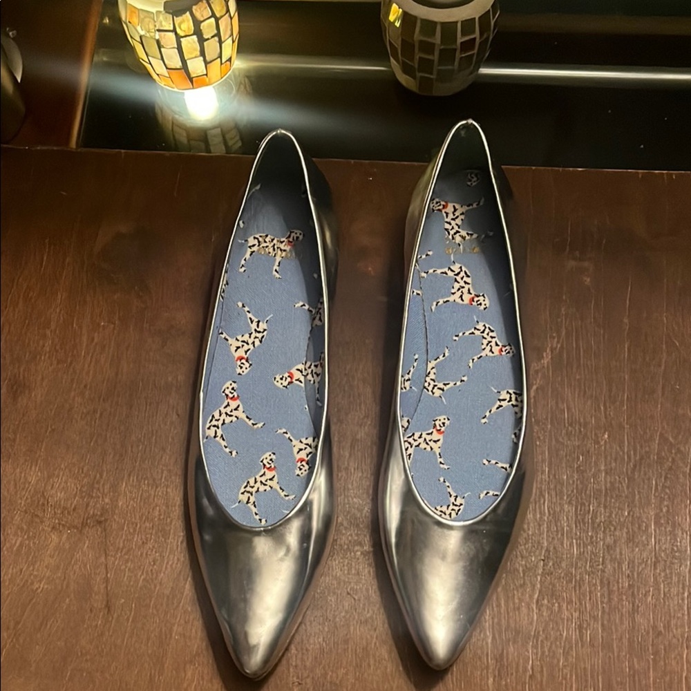Silver Flats with Pointed Toe and Shimmery Finish
